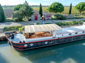 PENICHE FARNIENTE CLIMATISEE Séjour insolite aux portes de la Camargue